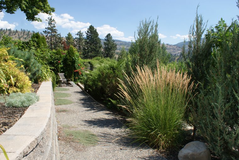 penticton-backyard-4