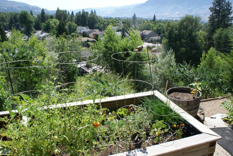 penticton-garden-6