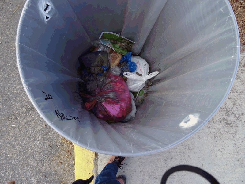 Dog Shit Bin at Circus Circus RV Park