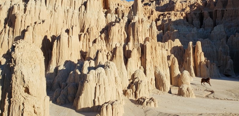 Cathedral Gorge State Park